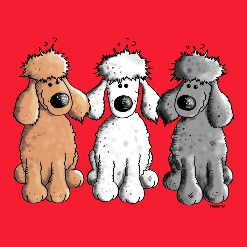Trois Caniche Drôle - Chien - Chiens