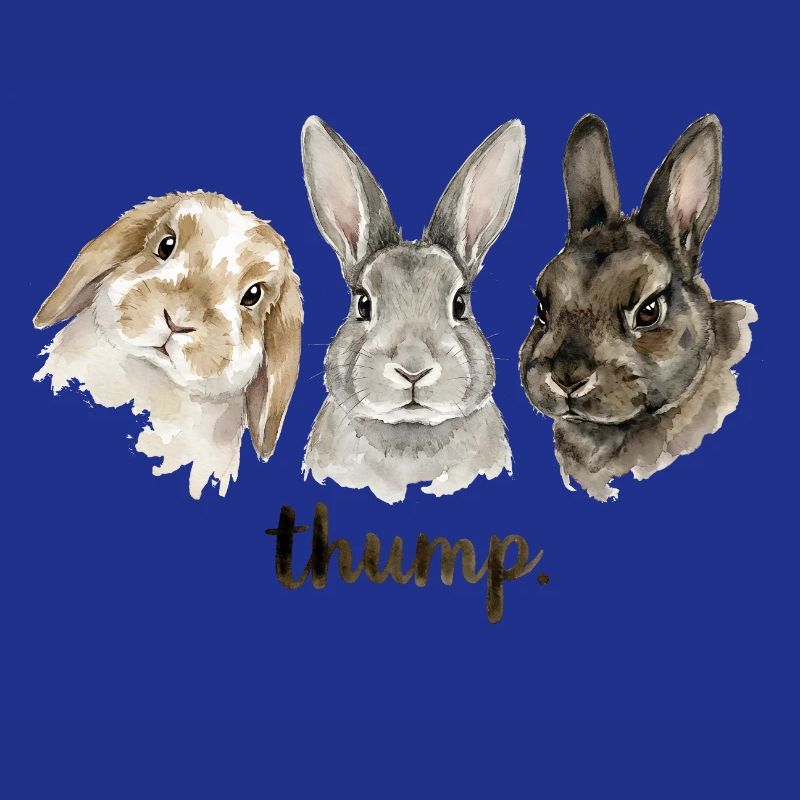 Fun rabbit knocking for rabbit lovers