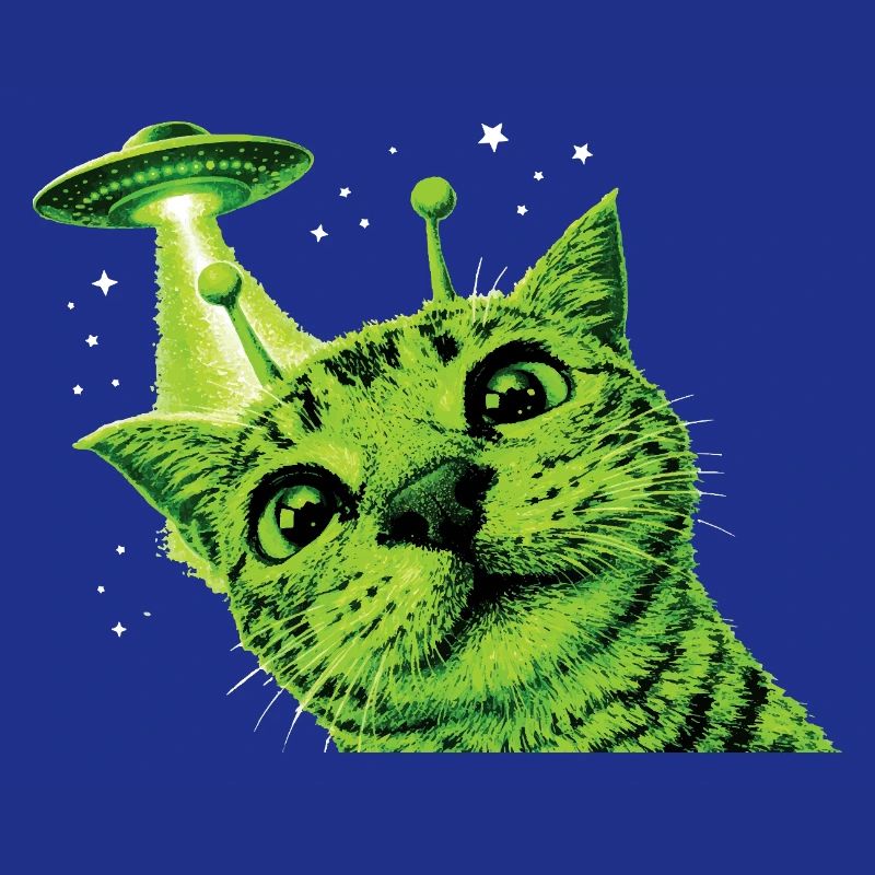 Alien Cat UFO