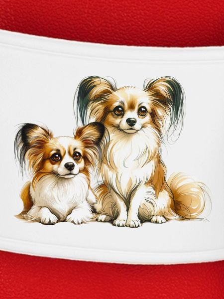 Papillon Hunde