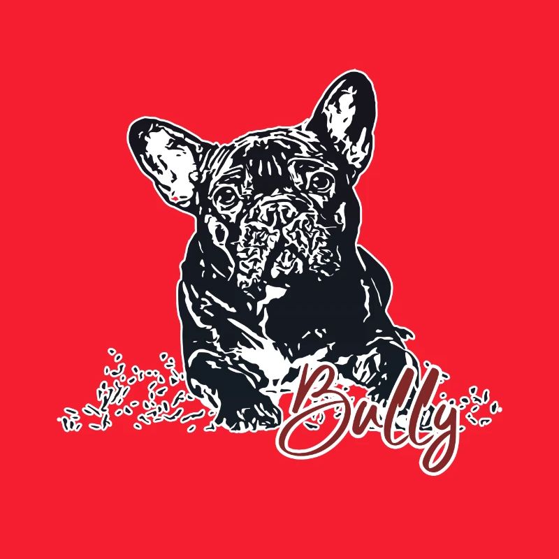 Bully - Bouledogue français mignon