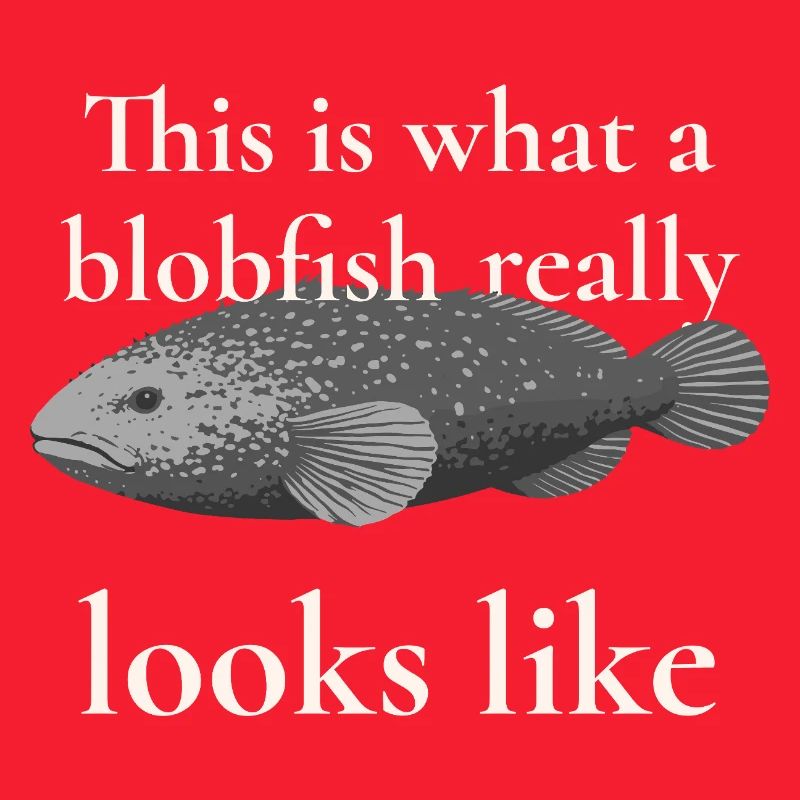 Blobfish Really Looks Like – Enlightenment Design