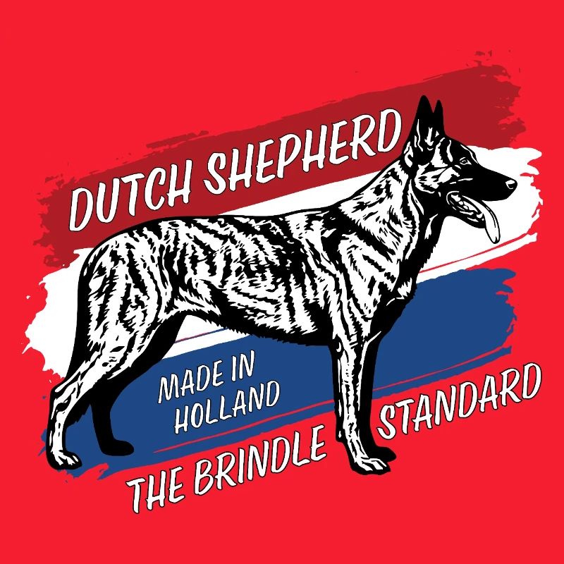 Berger hollandais - Dutchie