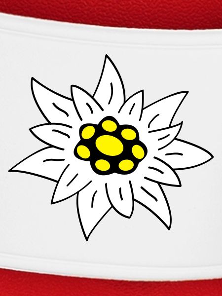 edelweiss