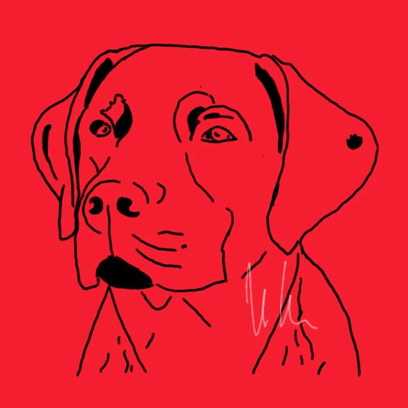 Labrador