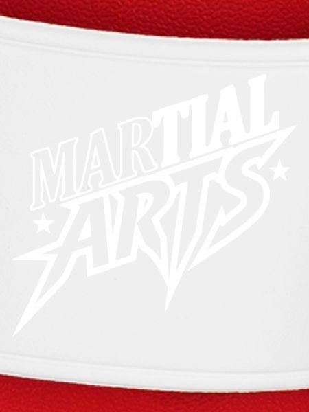 Kampfsport Logo Design