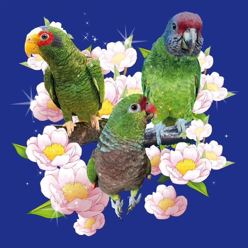 Papageien
