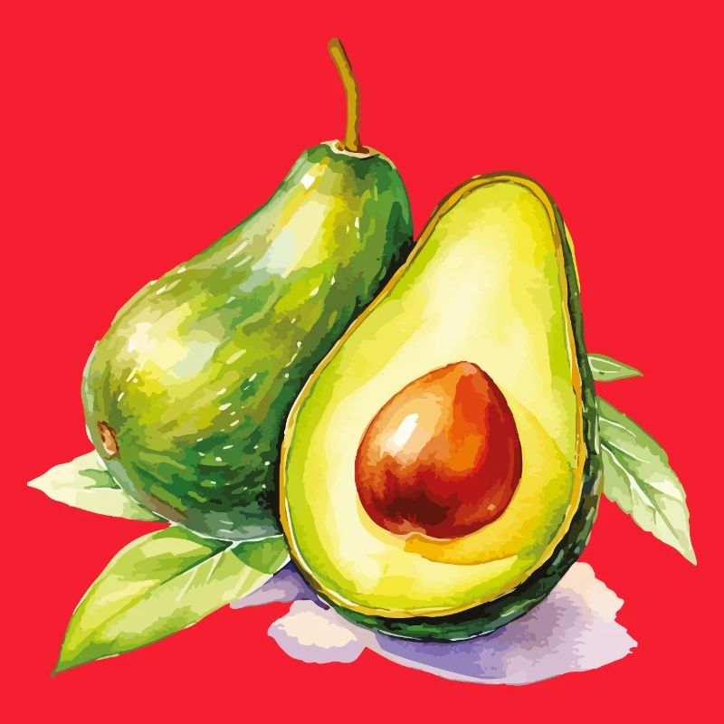 Fraîcheur de l’avocat aquarelle