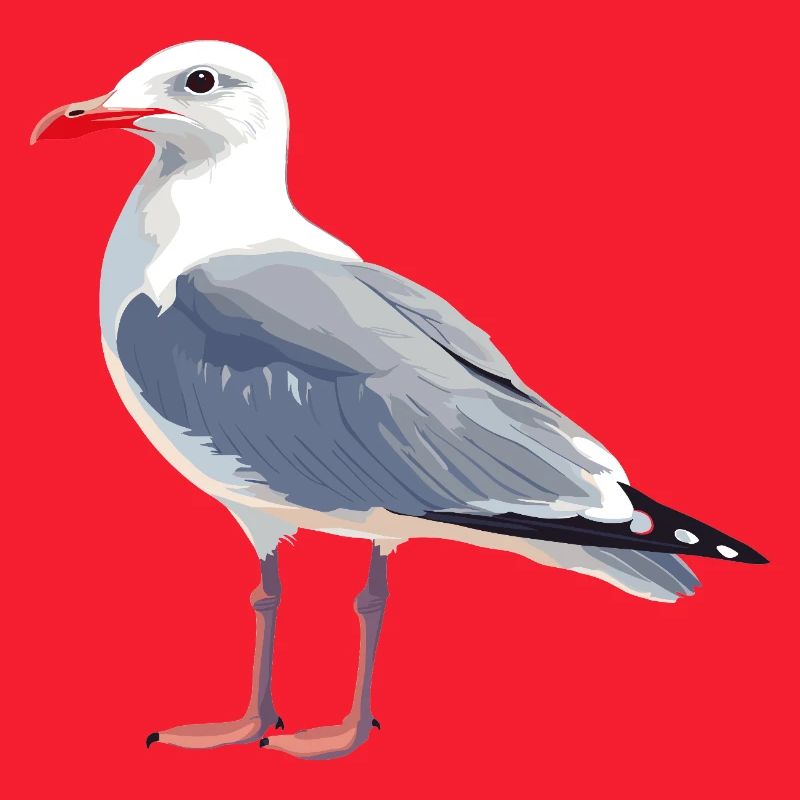 Seagull