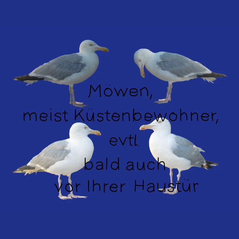 Möwen mit Spruch