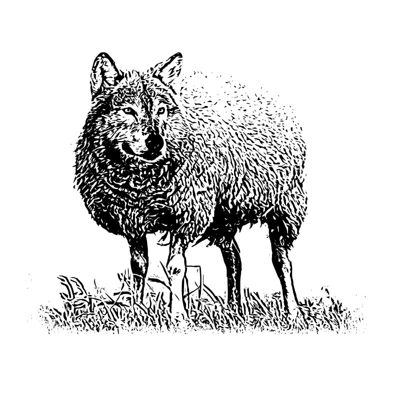 Wolf im Schafspelz