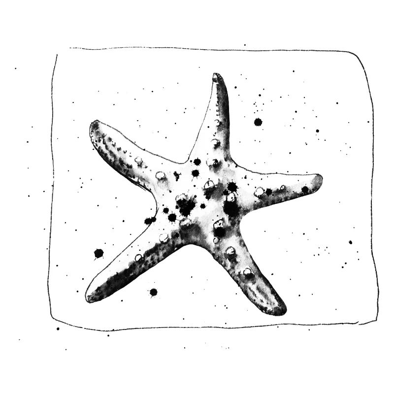 Étoile de mer cool dessinée à la main en noir