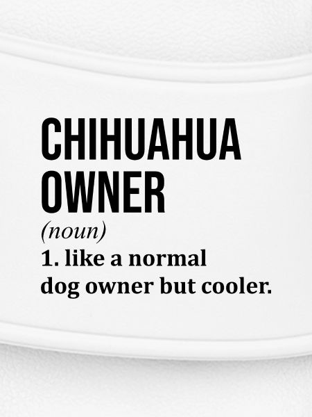 Chihuahua Chihuahua Chihuahua