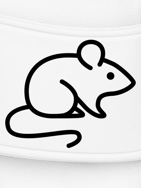 Maus