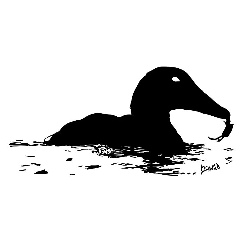 HGWild - Eiderente mit Krabbe