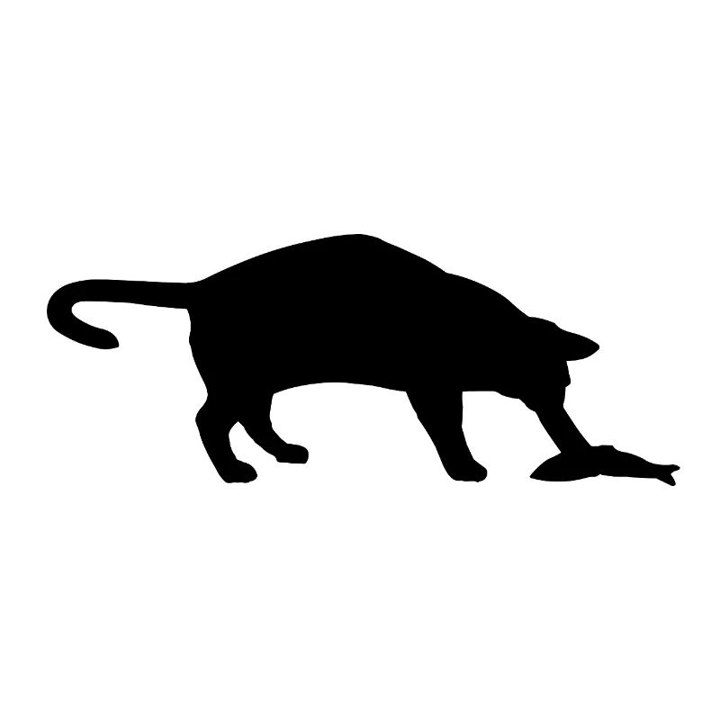 Cat and fish