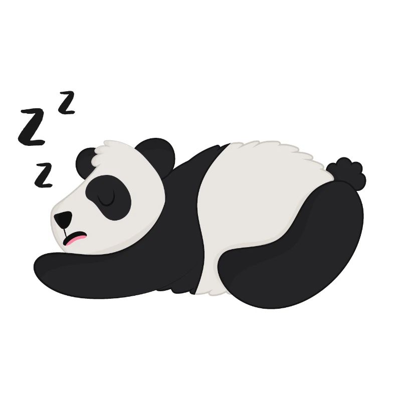 Panda Panda Bear