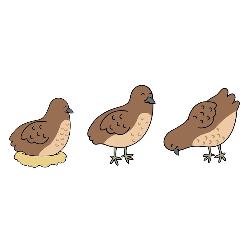 Three Quails - Minimalist Quail Design