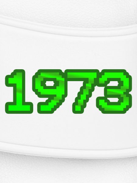 1973