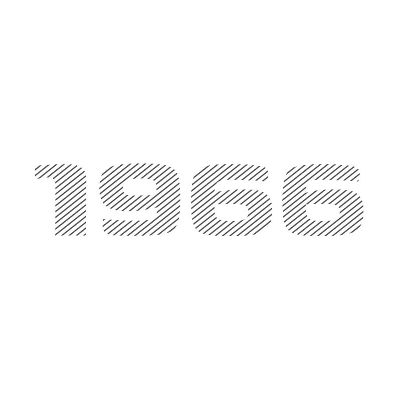Born 1966 Retro Stripe Modern Birthday Design