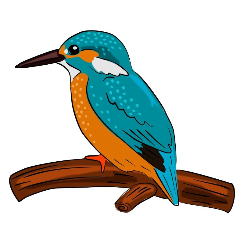 bird