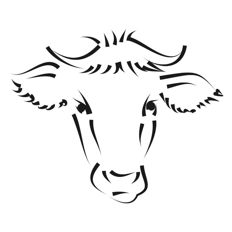 Vache Vaches