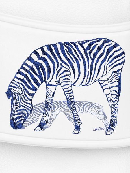 Zebra mit Zebraschatten