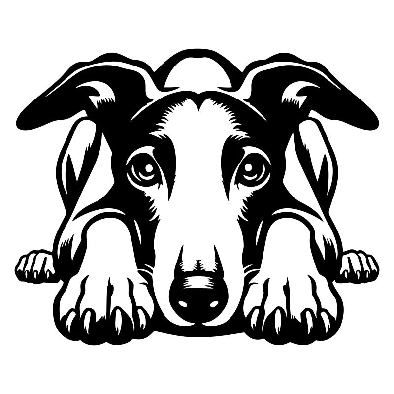 Tête de whippet avec pattes