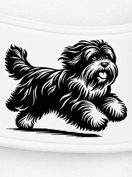 Tibetan Terrier