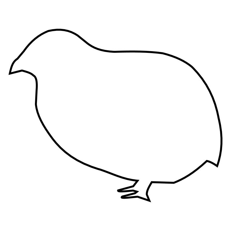 Quail