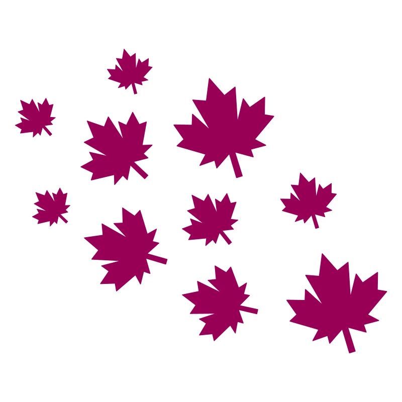 Feuilles d’érable