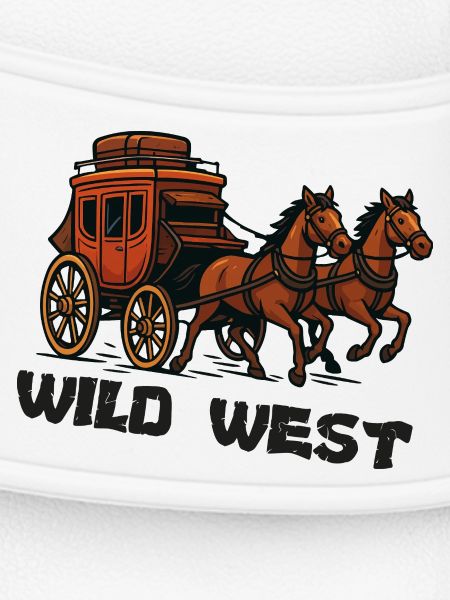 Wild Western Carriage