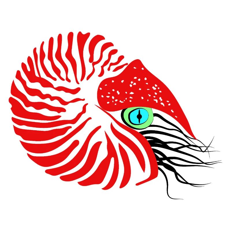 Bateau perlier, ammonite, céphalopode, nautile