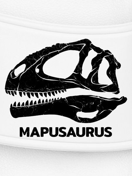 Mapusaurus Fossil Schädel