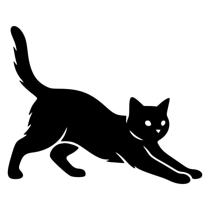 Katze
