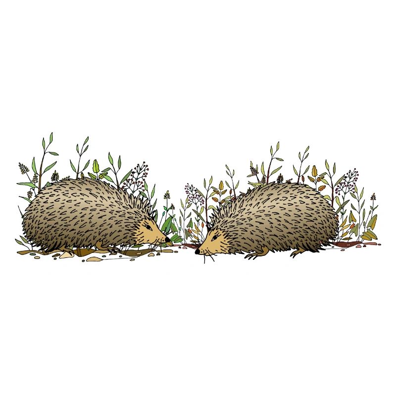 Igel
