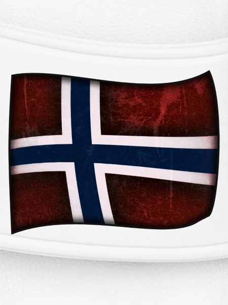 Norwegian Flag