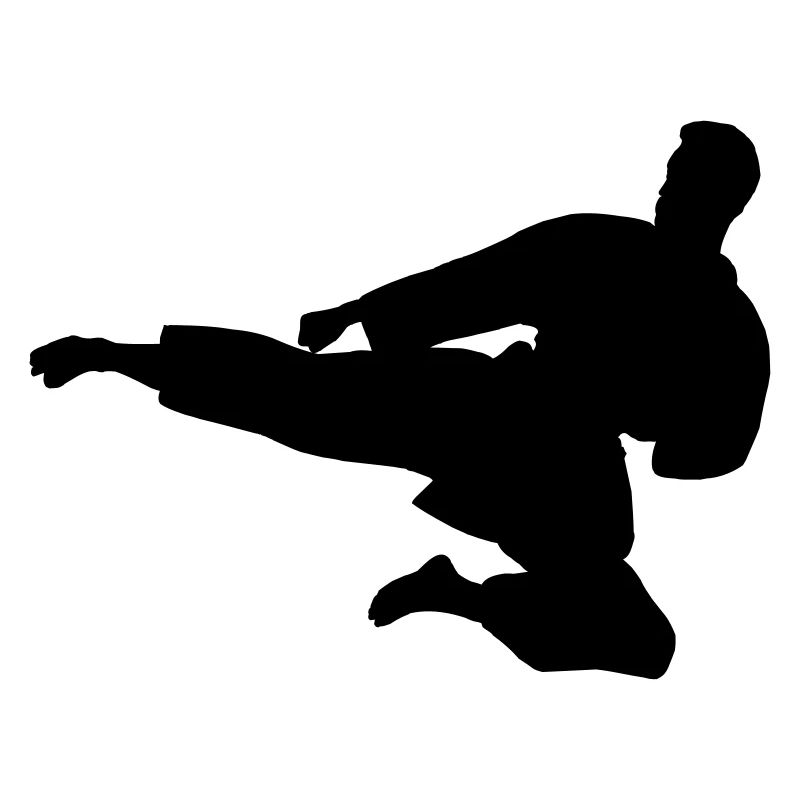 Karate or taekwondo jumped sideways