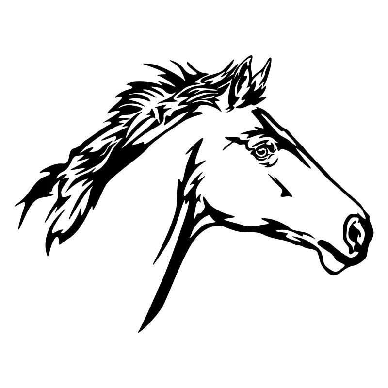 Tête de cheval en course