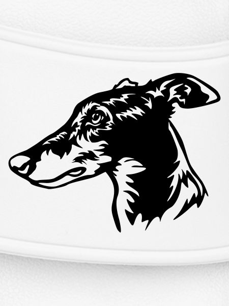 Greyhound Kopf
