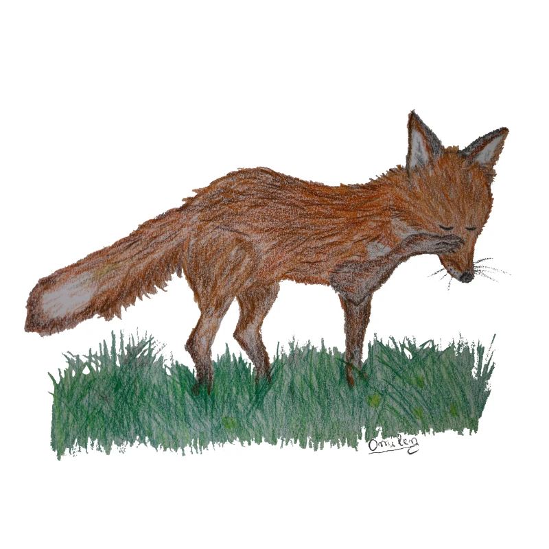 Ich bin nur ein Fuchs