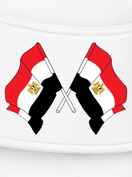 Deux drapeaux Egypte