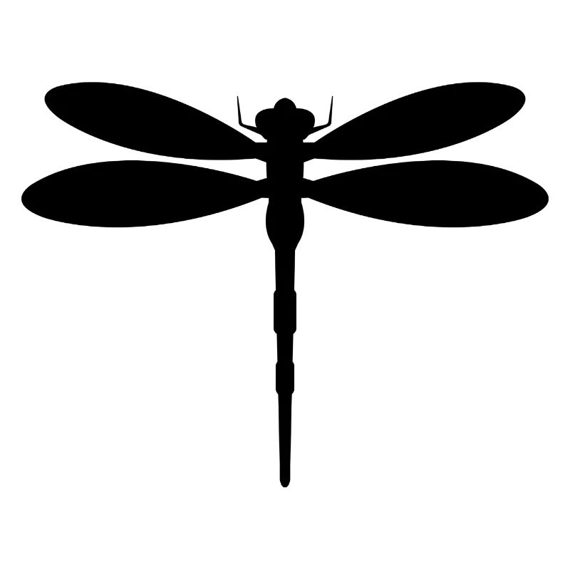 Libellule