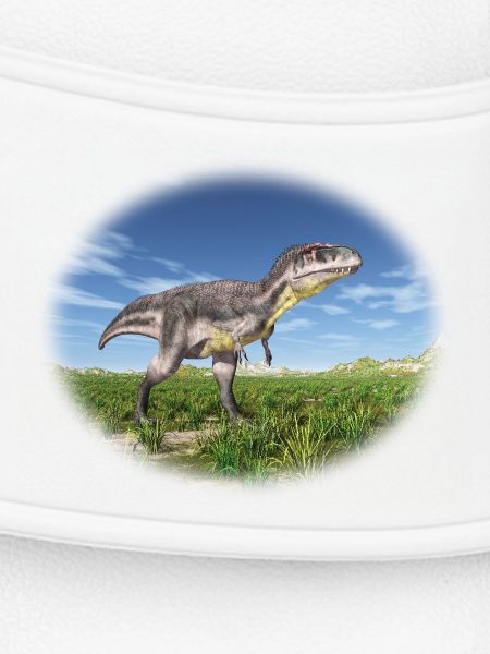 Tyrannotitan – Raubdinosaurier der Urzeit