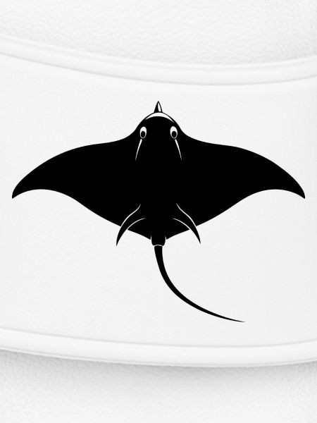 Stingray