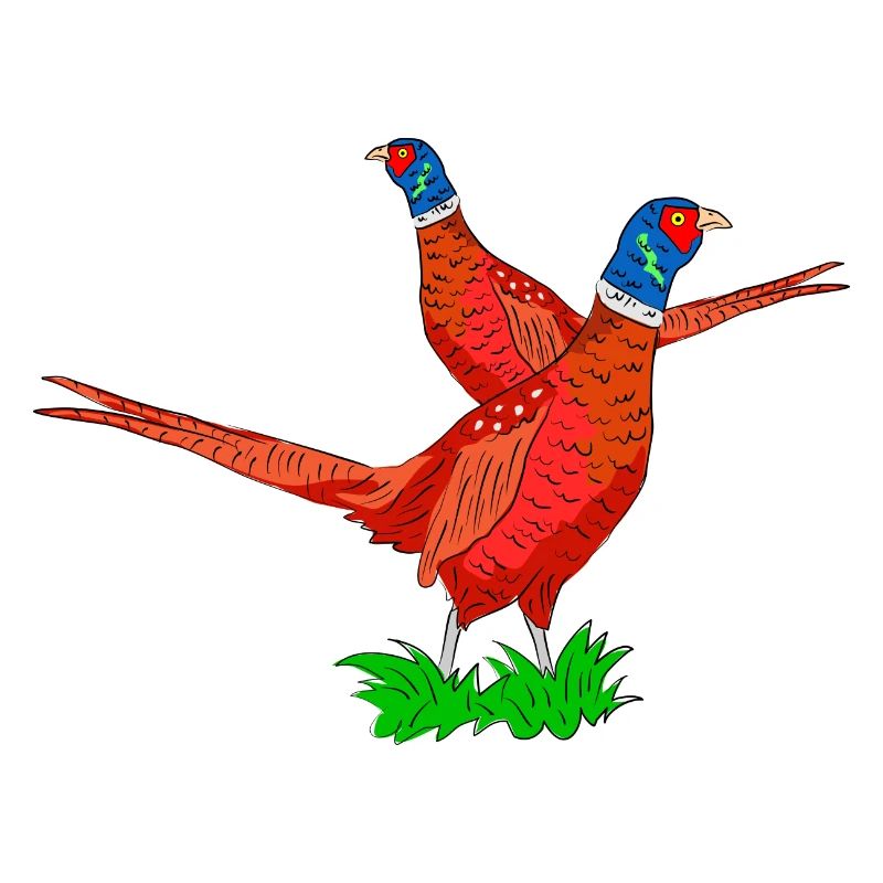 Fabuleuse illustration de faisan