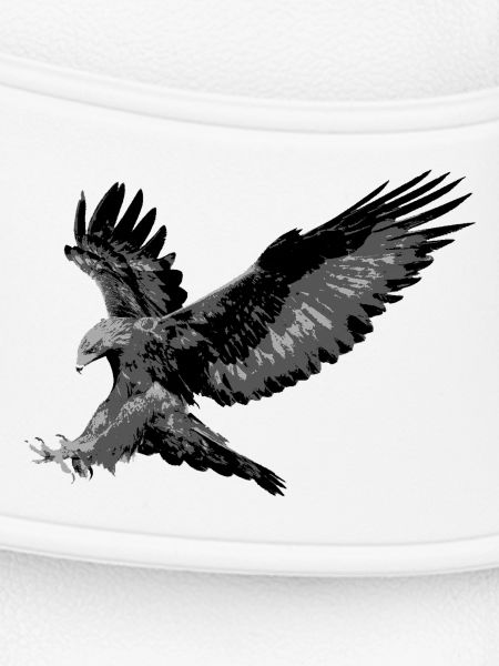 Aigle