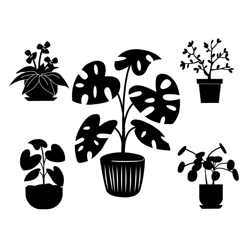 Houseplants five