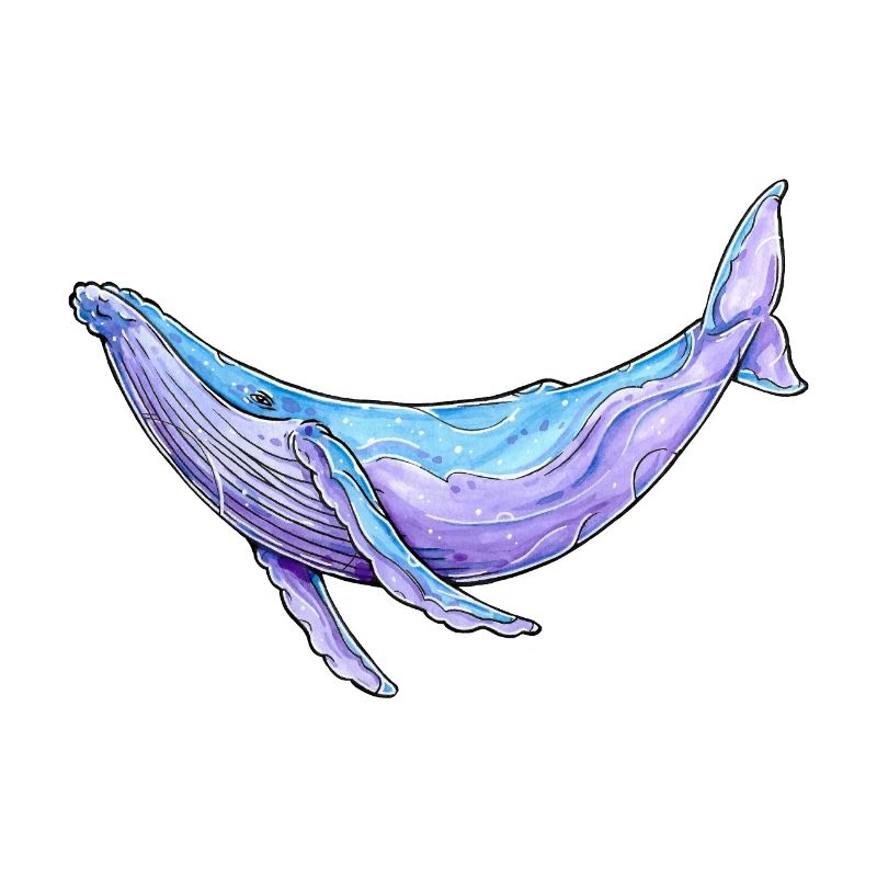 Buckelwal Aquarell