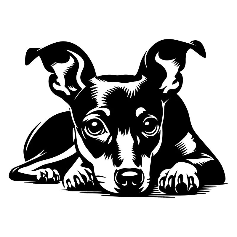 Miniature Pinscher